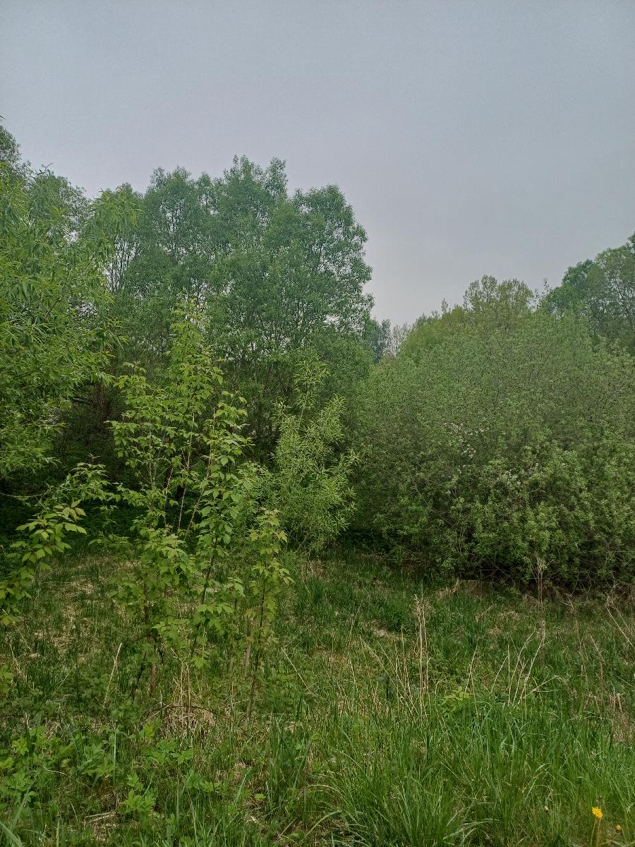 Žemės sklypas — Kelmės r. sav.