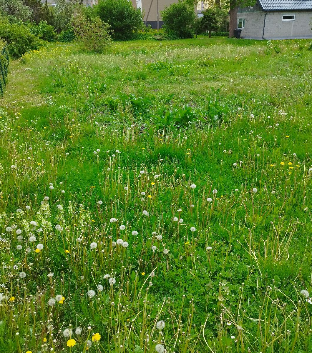 Žemės sklypas — Radviliškio r. sav.