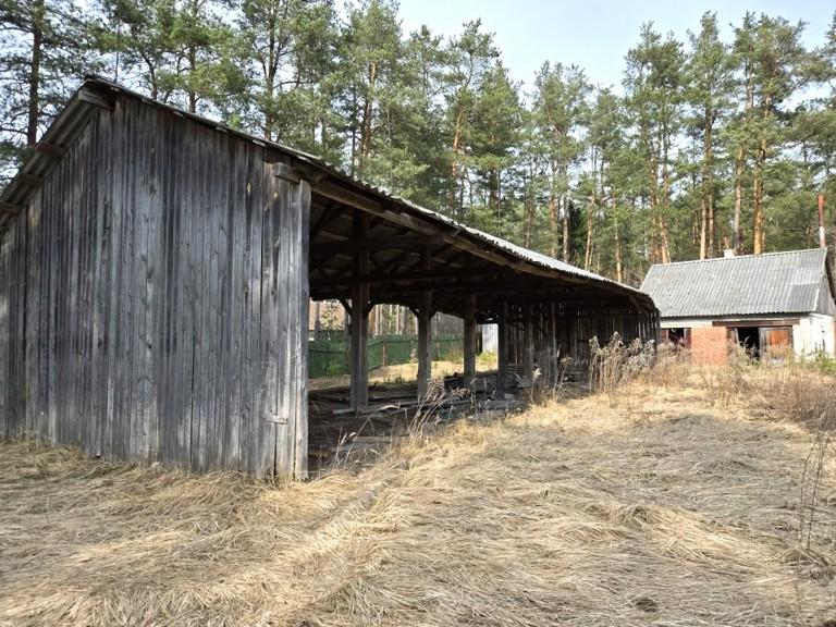 Lentpjūvė — Ignalinos r. sav.