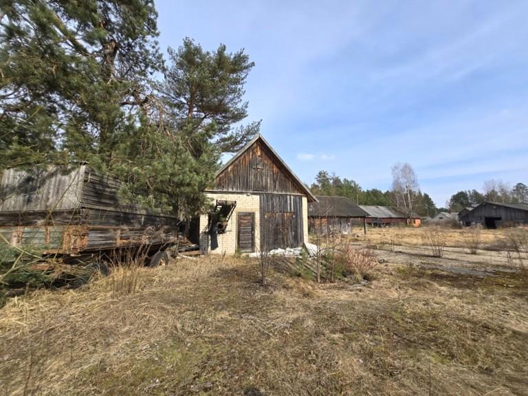 Lentpjūvė — Ignalinos r. sav.