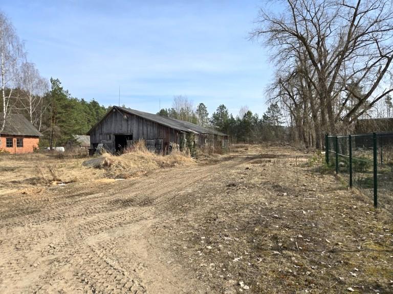 Lentpjūvė — Ignalinos r. sav.