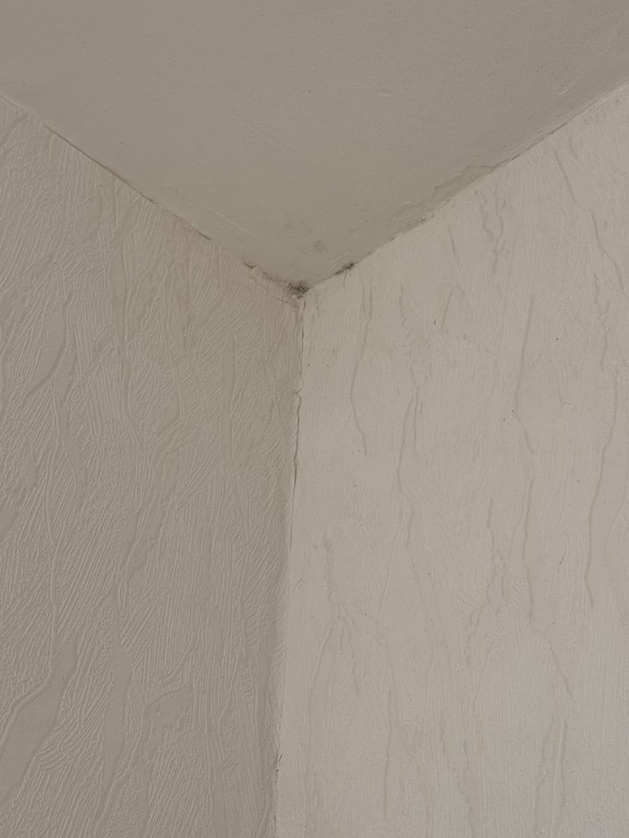 Butas — Klaipėdos m. sav.