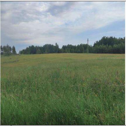 Žemės sklypas — Molėtų r. sav.