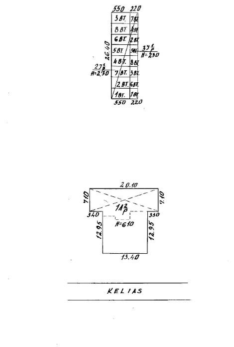 Butas — Joniškio r. sav.
