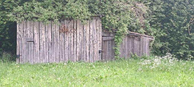 Mokykla — Vilkaviškio r. sav.