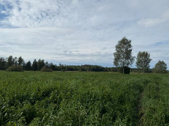 Žemės sklypas — Vilniaus r. sav.