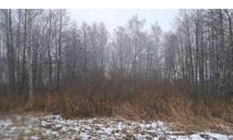 Žemės sklypas — Zarasų r. sav.