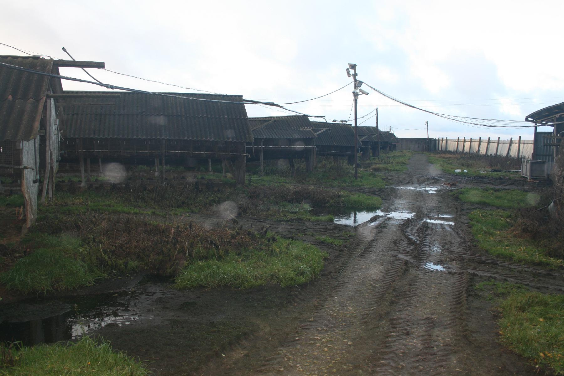 Žemės sklypas — Šiaulių r. sav.