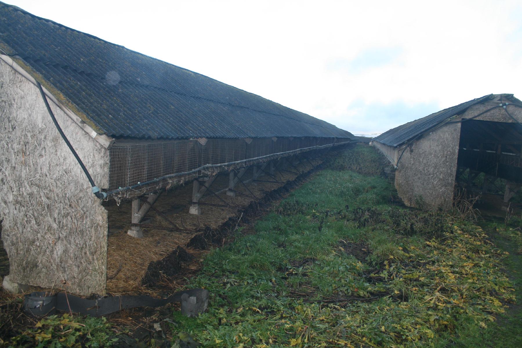 Žemės sklypas — Šiaulių r. sav.