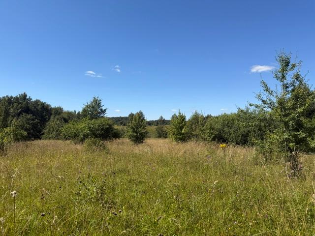 Žemės sklypas — Molėtų r. sav.