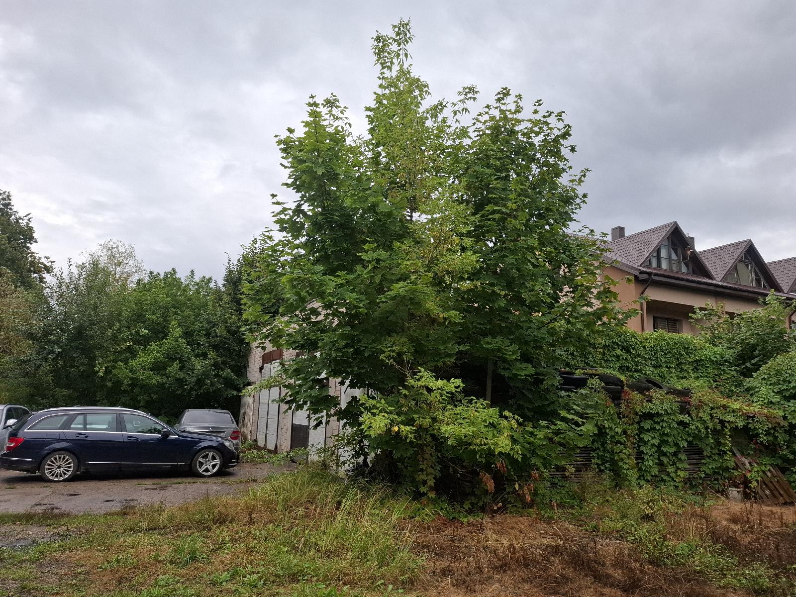 Garažas — Kauno m. sav.