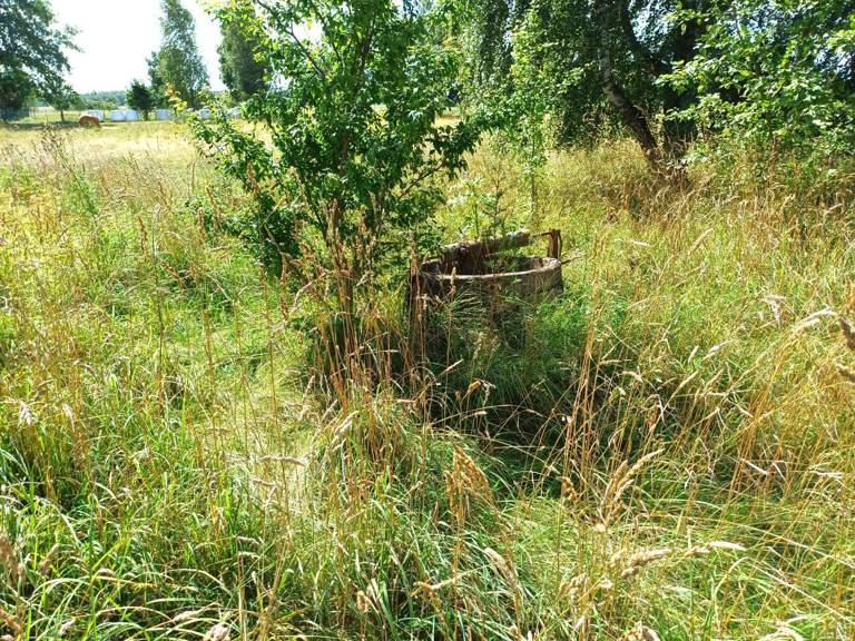 Butas — Jurbarko r. sav.