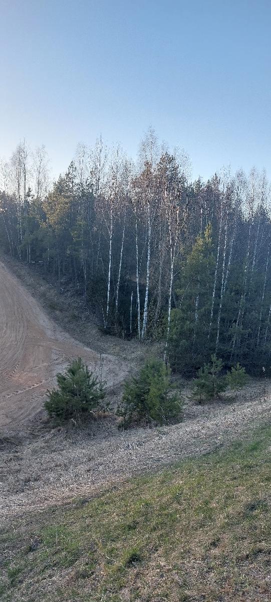Žemės sklypas — Prienų r. sav.