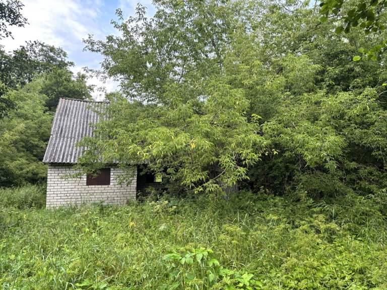 Butas Nr.3 — Molėtų r. sav.