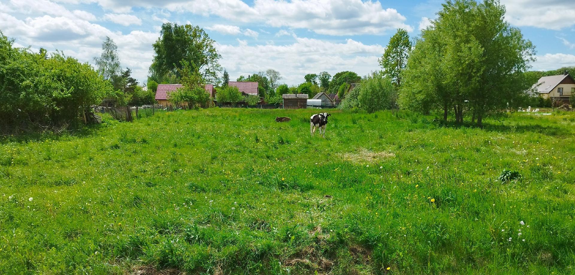 Žemės sklypas — Radviliškio r. sav.