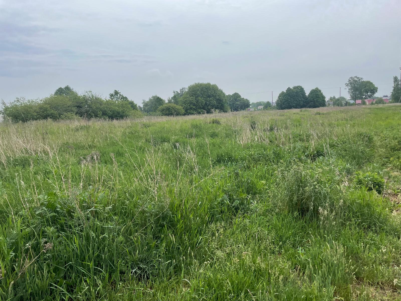 Žemės sklypas — Šilutės r. sav.