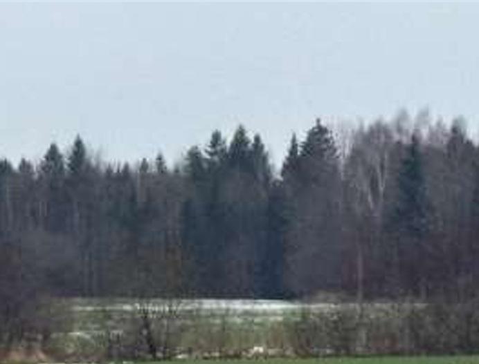 Žemės sklypas — Skuodo r. sav.
