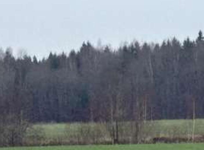 Žemės sklypas — Skuodo r. sav.