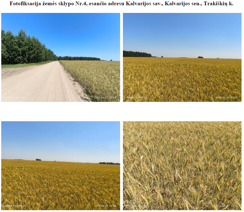 Žemės sklypas — Kalvarijos sav.