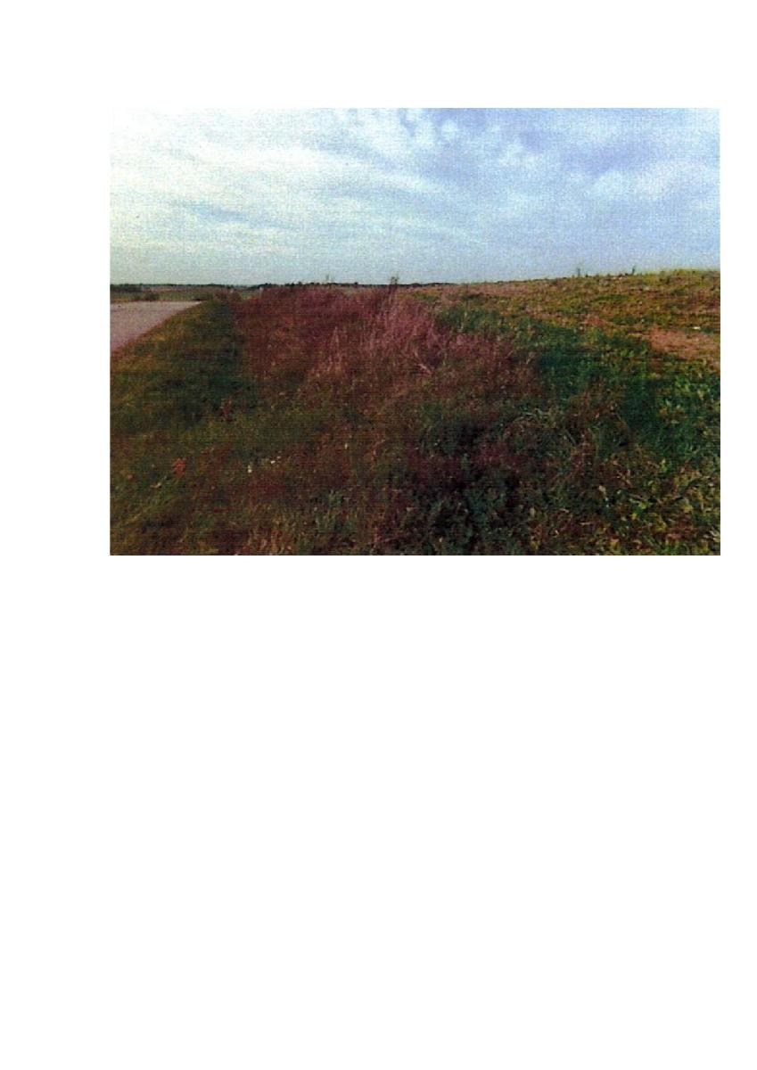 Žemės sklypas — Prienų r. sav.