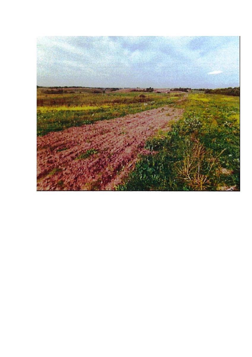 Žemės sklypas — Prienų r. sav.