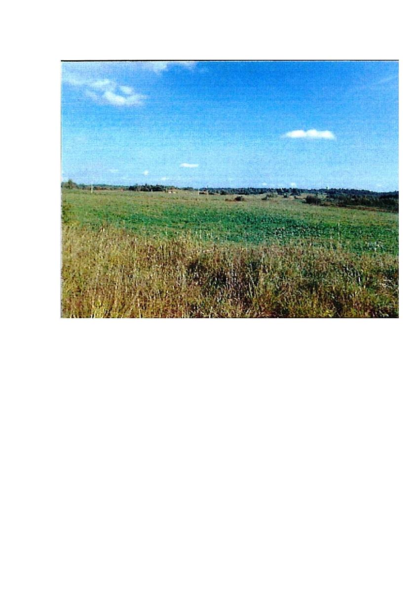 Žemės sklypas — Prienų r. sav.