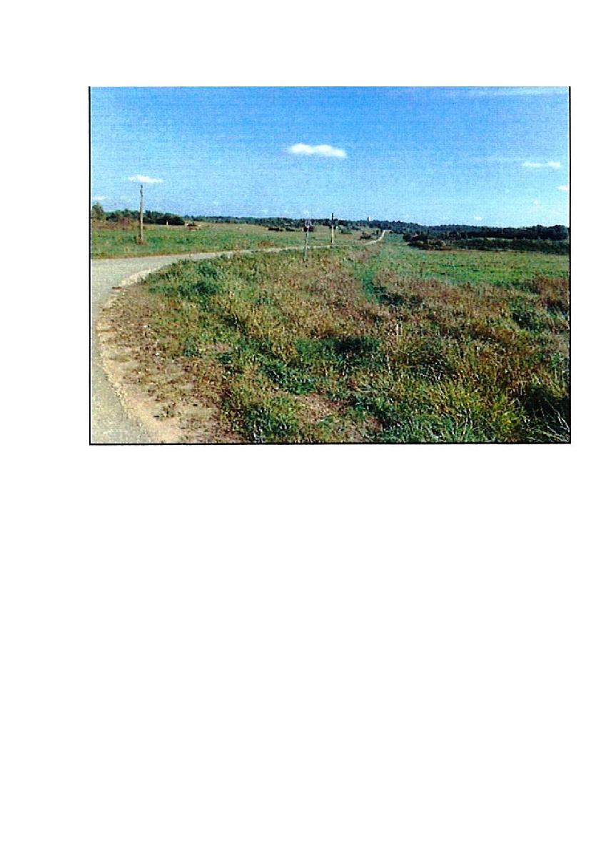 Žemės sklypas — Prienų r. sav.