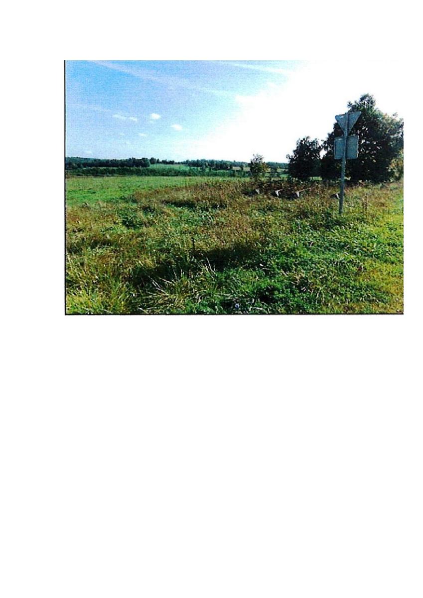 Žemės sklypas — Prienų r. sav.