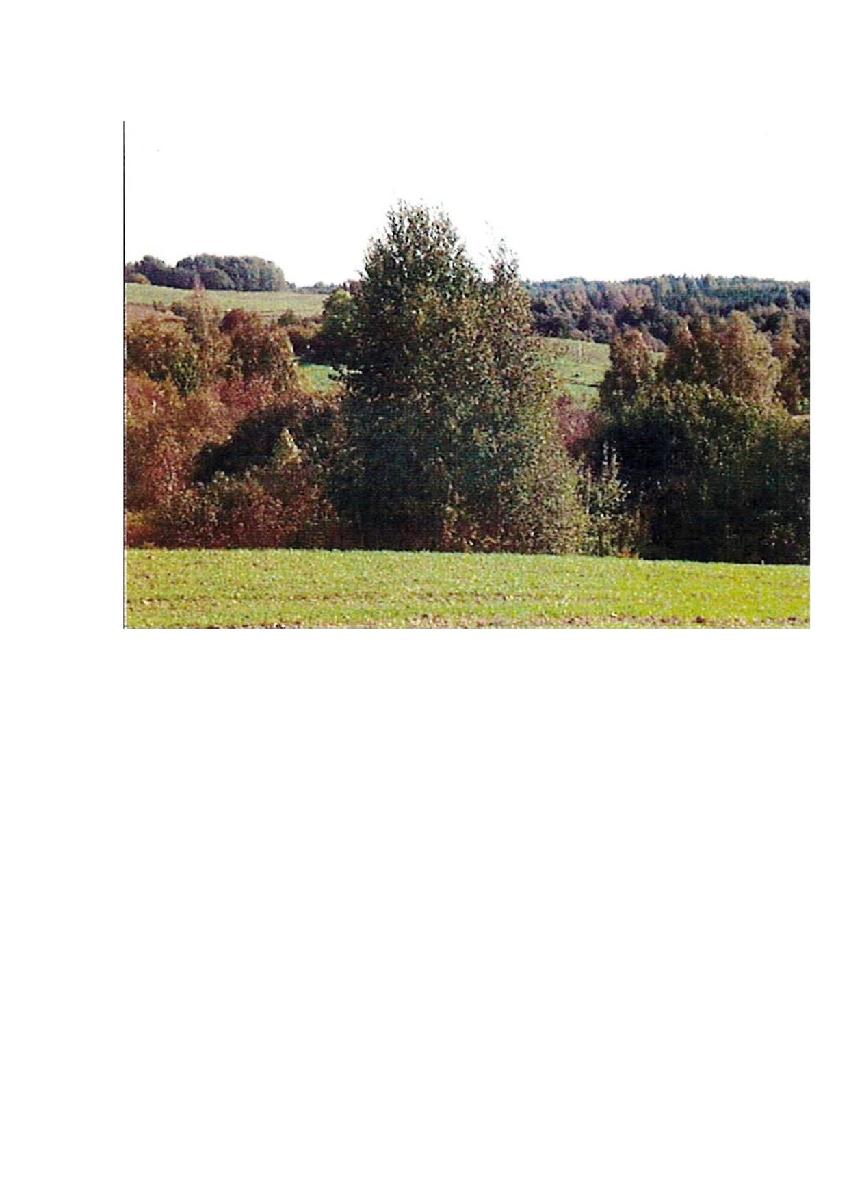 Žemės sklypas — Prienų r. sav.