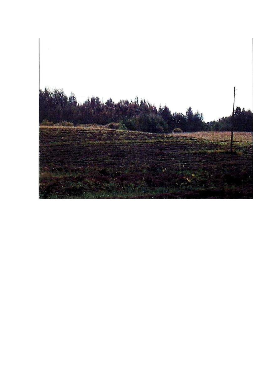 Žemės sklypas — Prienų r. sav.