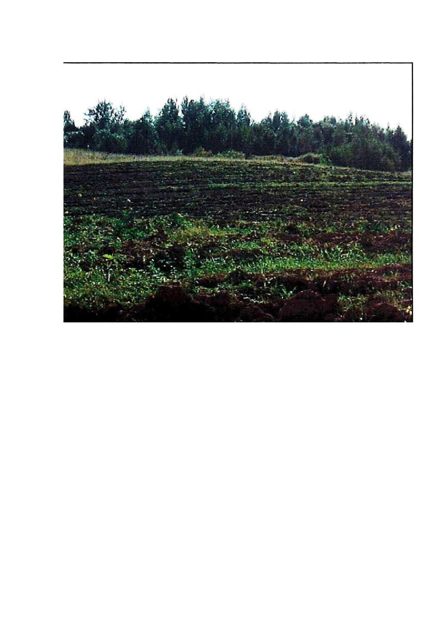 Žemės sklypas — Prienų r. sav.
