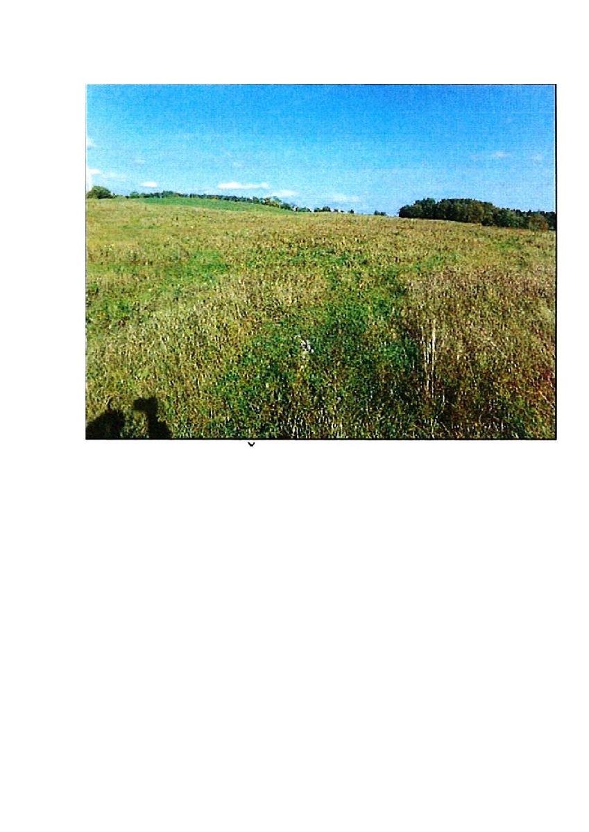 Žemės sklypas — Prienų r. sav.