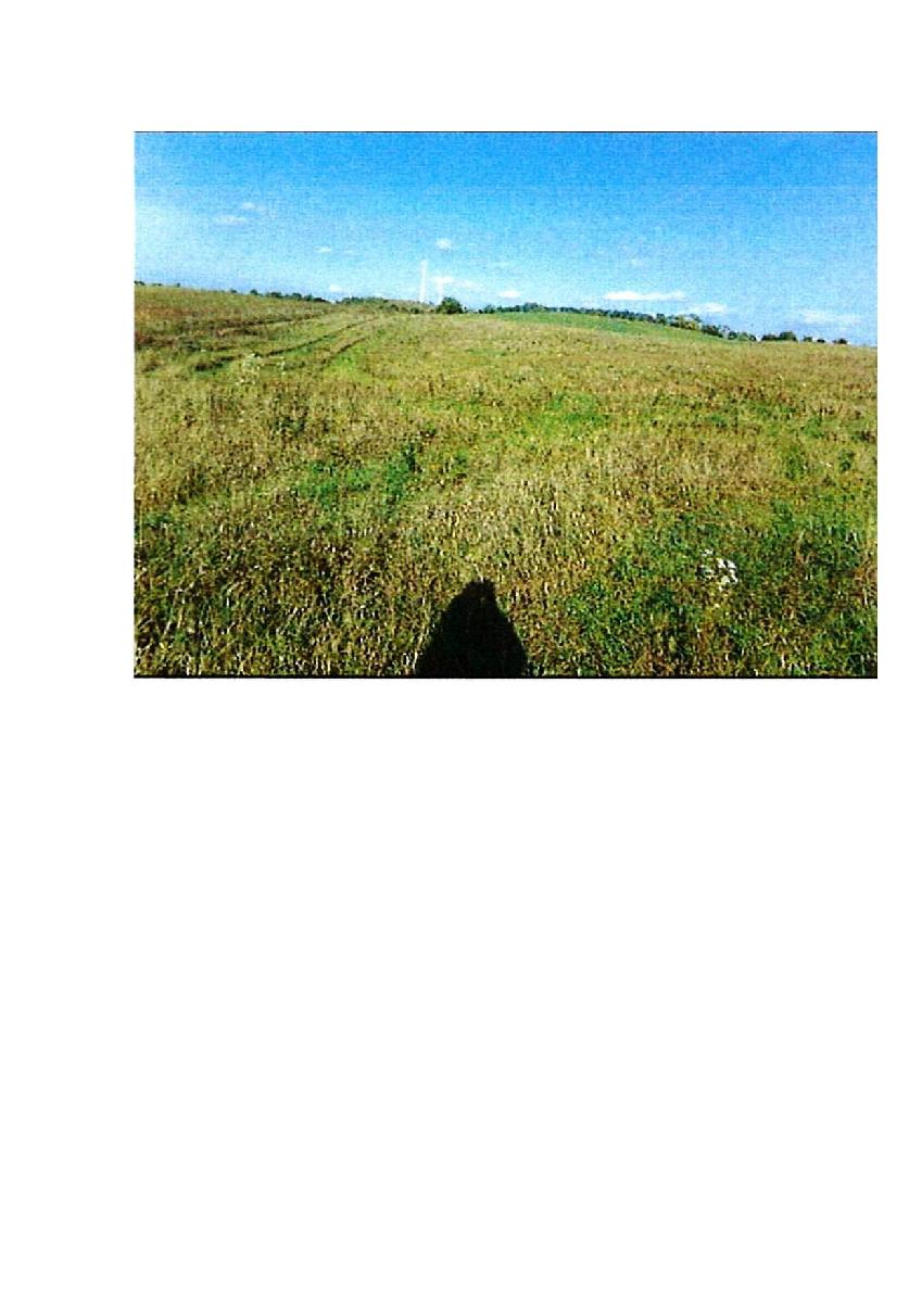Žemės sklypas — Prienų r. sav.