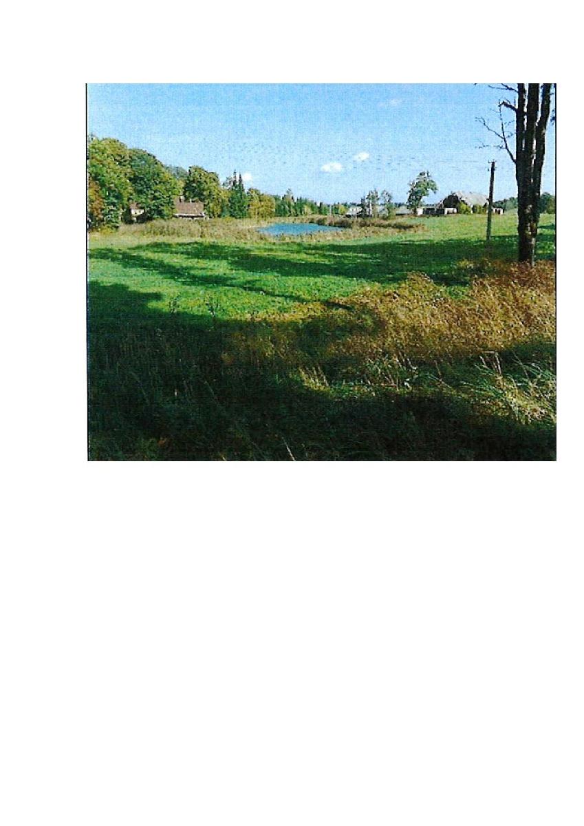 Žemės sklypas — Prienų r. sav.