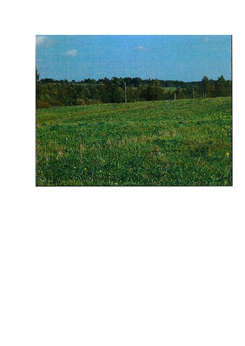 Žemės sklypas — Prienų r. sav.