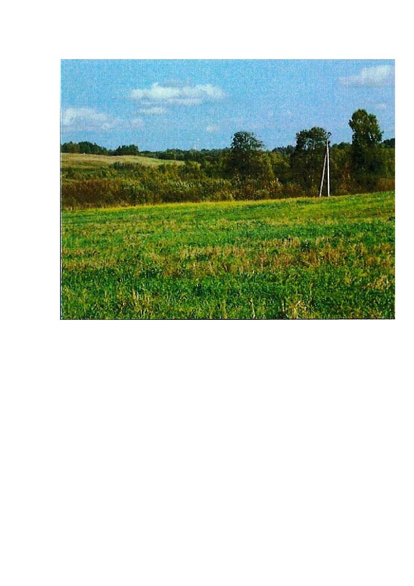 Žemės sklypas — Prienų r. sav.