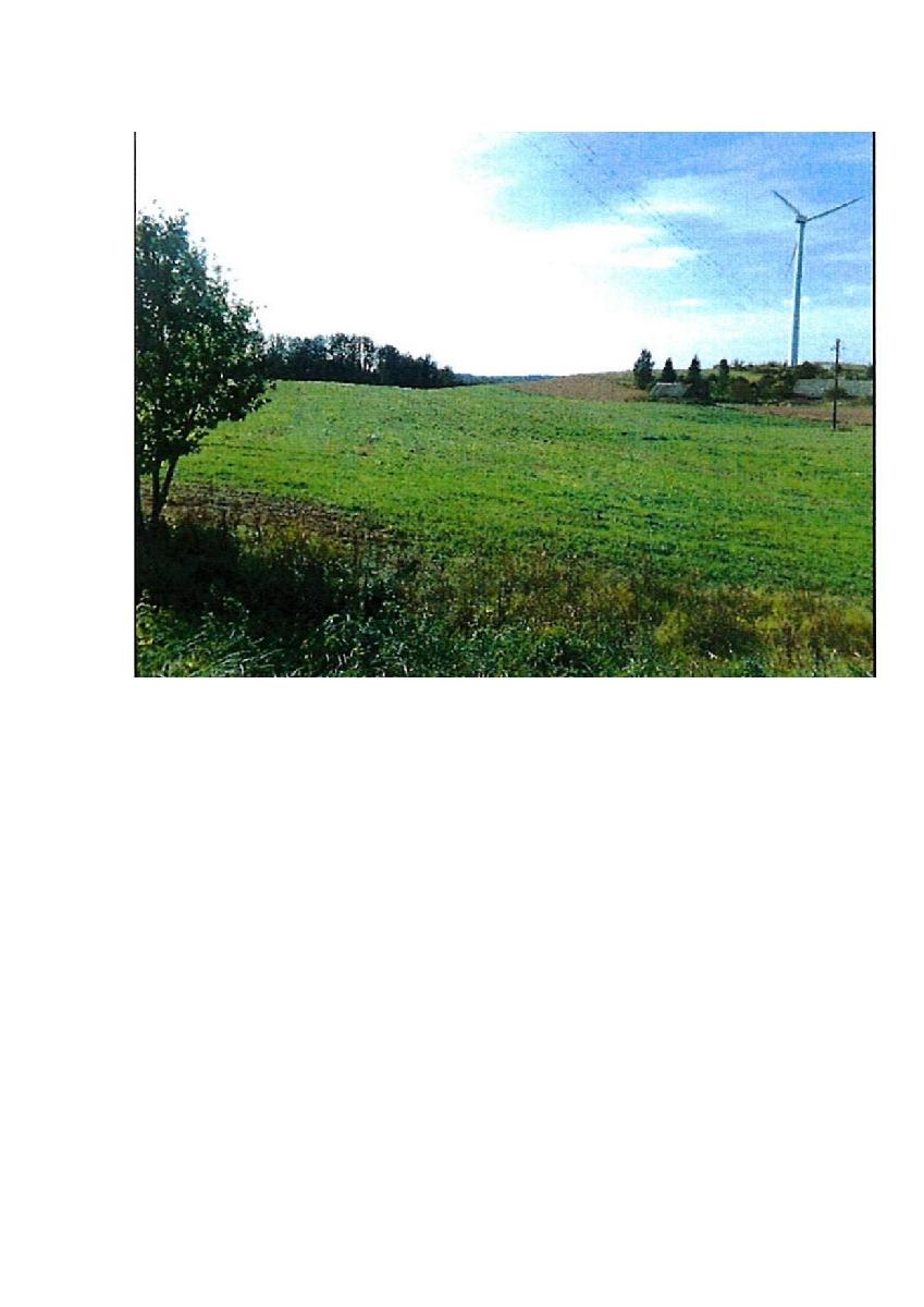 Žemės sklypas — Prienų r. sav.