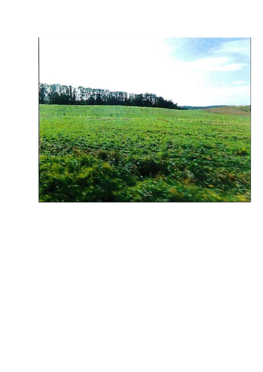 Žemės sklypas — Prienų r. sav.
