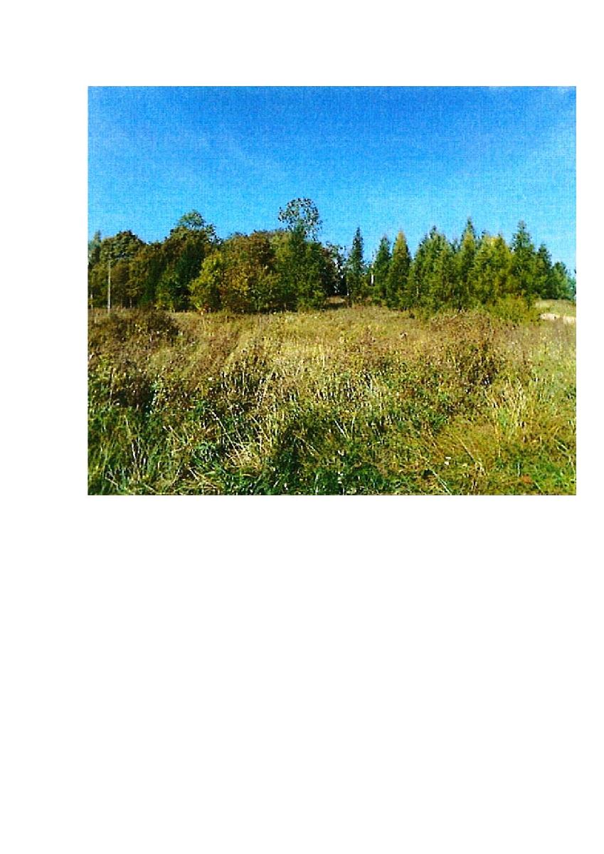 Žemės sklypas — Prienų r. sav.