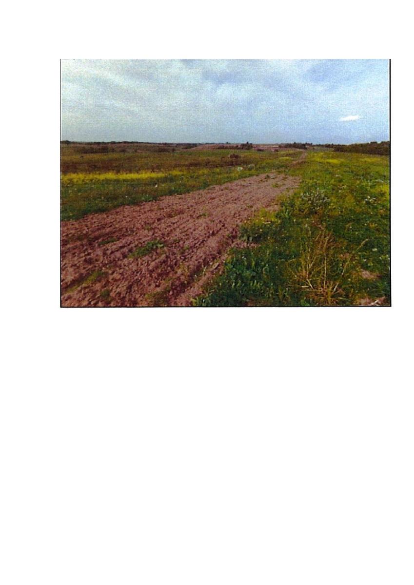 Žemės sklypas — Prienų r. sav.