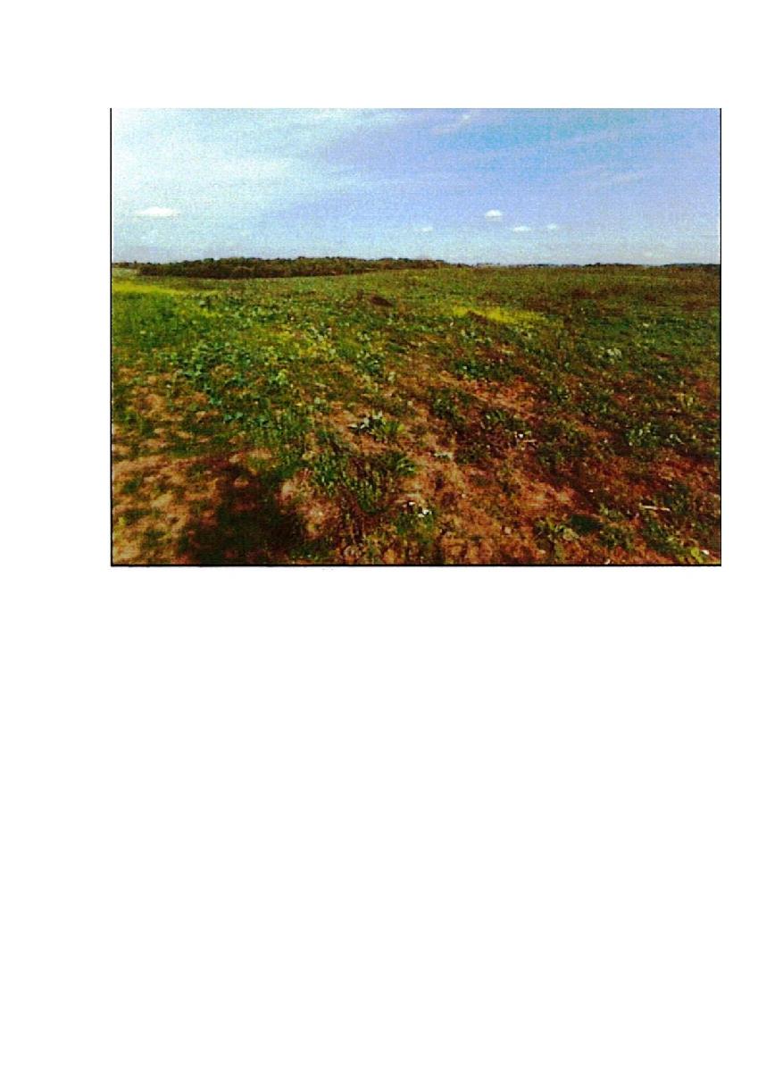 Žemės sklypas — Prienų r. sav.