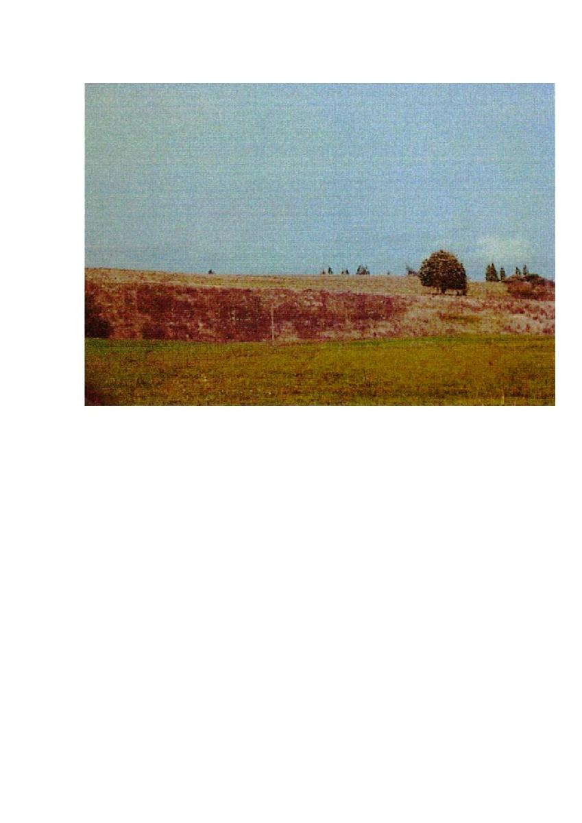 Žemės sklypas — Prienų r. sav.
