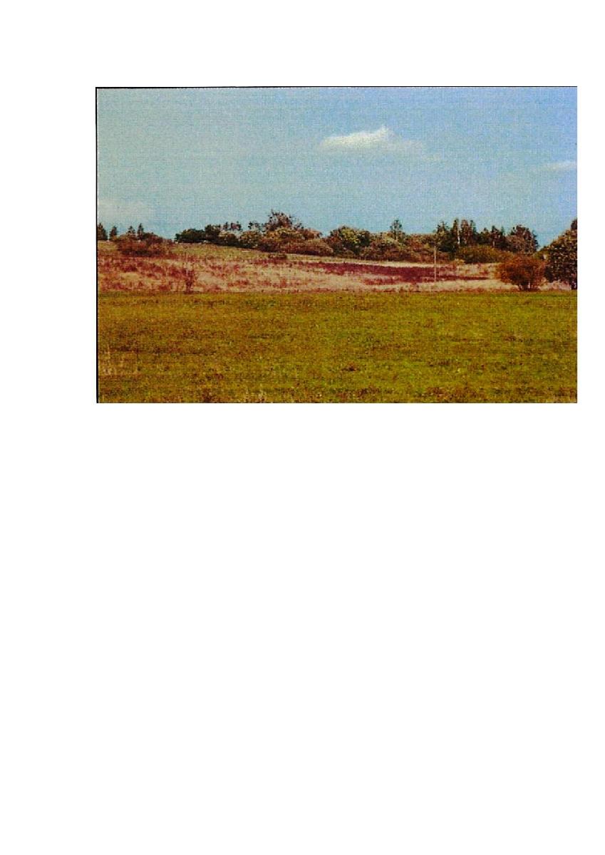 Žemės sklypas — Prienų r. sav.