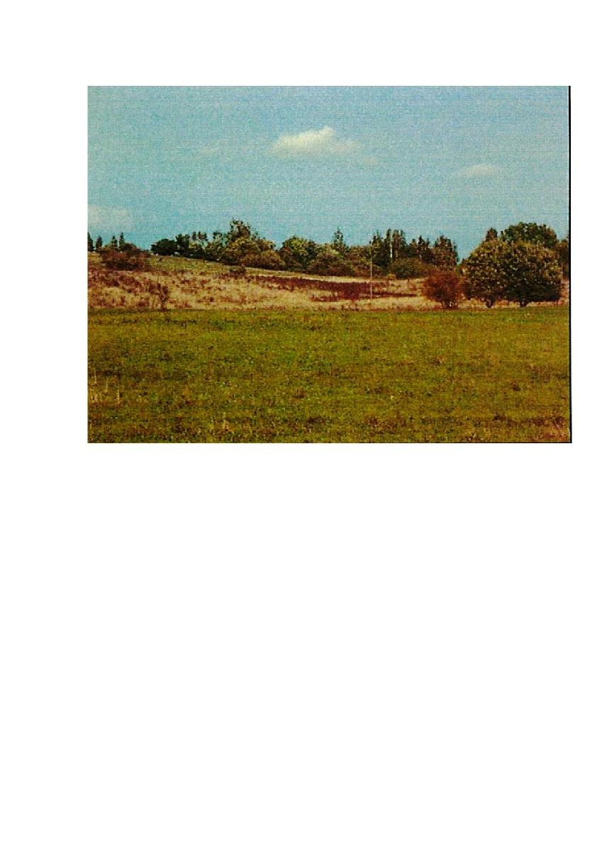 Žemės sklypas — Prienų r. sav.