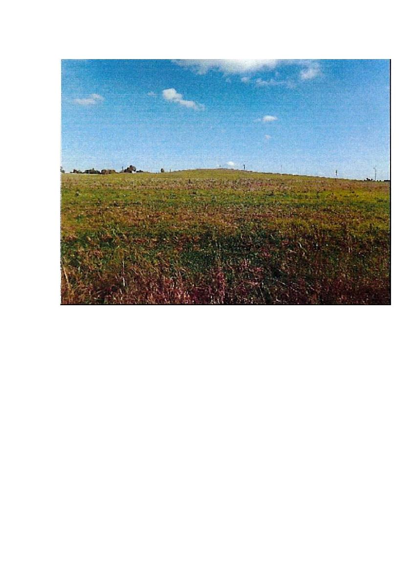 Žemės sklypas — Prienų r. sav.