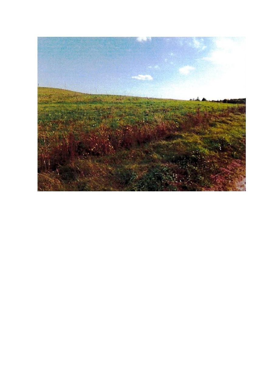 Žemės sklypas — Prienų r. sav.