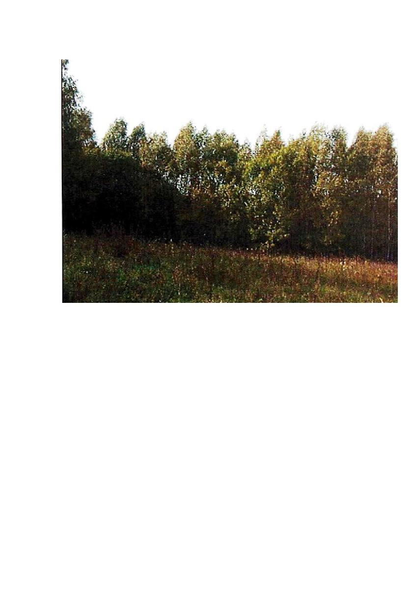 Žemės sklypas — Prienų r. sav.
