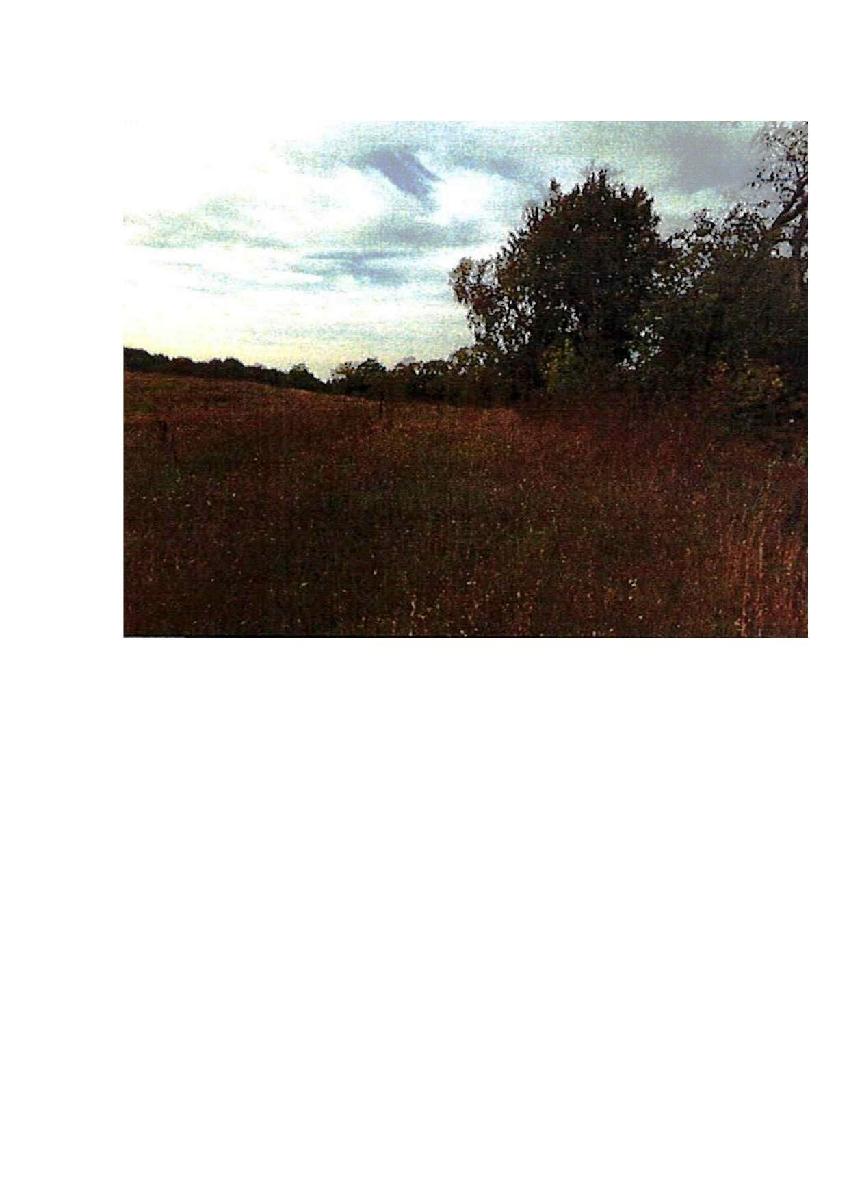 Žemės sklypas — Prienų r. sav.