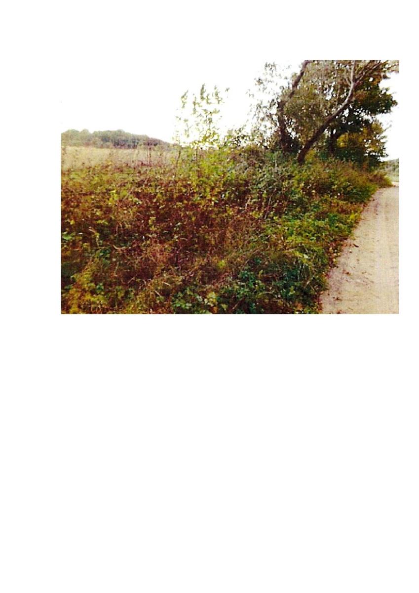 Žemės sklypas — Prienų r. sav.