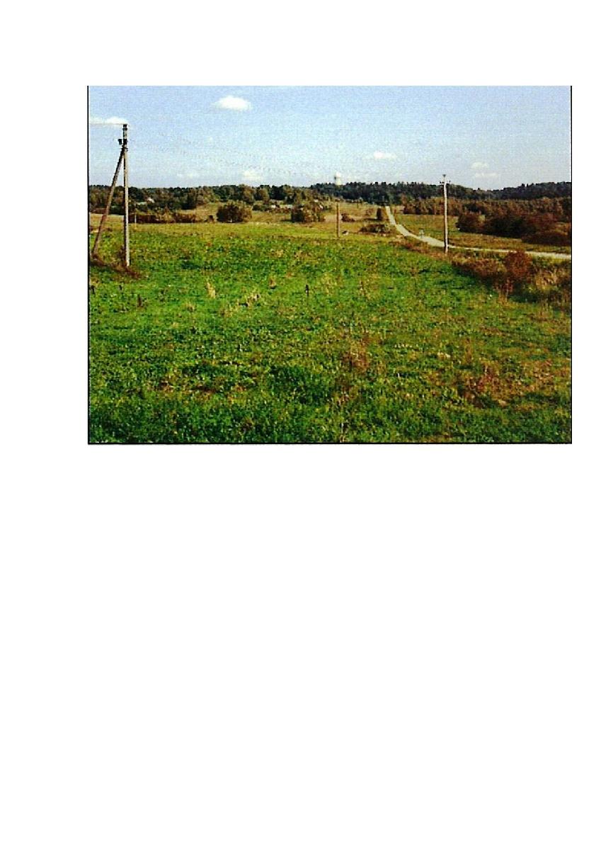 Žemės sklypas — Prienų r. sav.